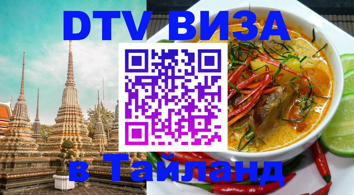 Оформление DTV визы под ключ: стоимость и тарифы, только загранпаспорт - 